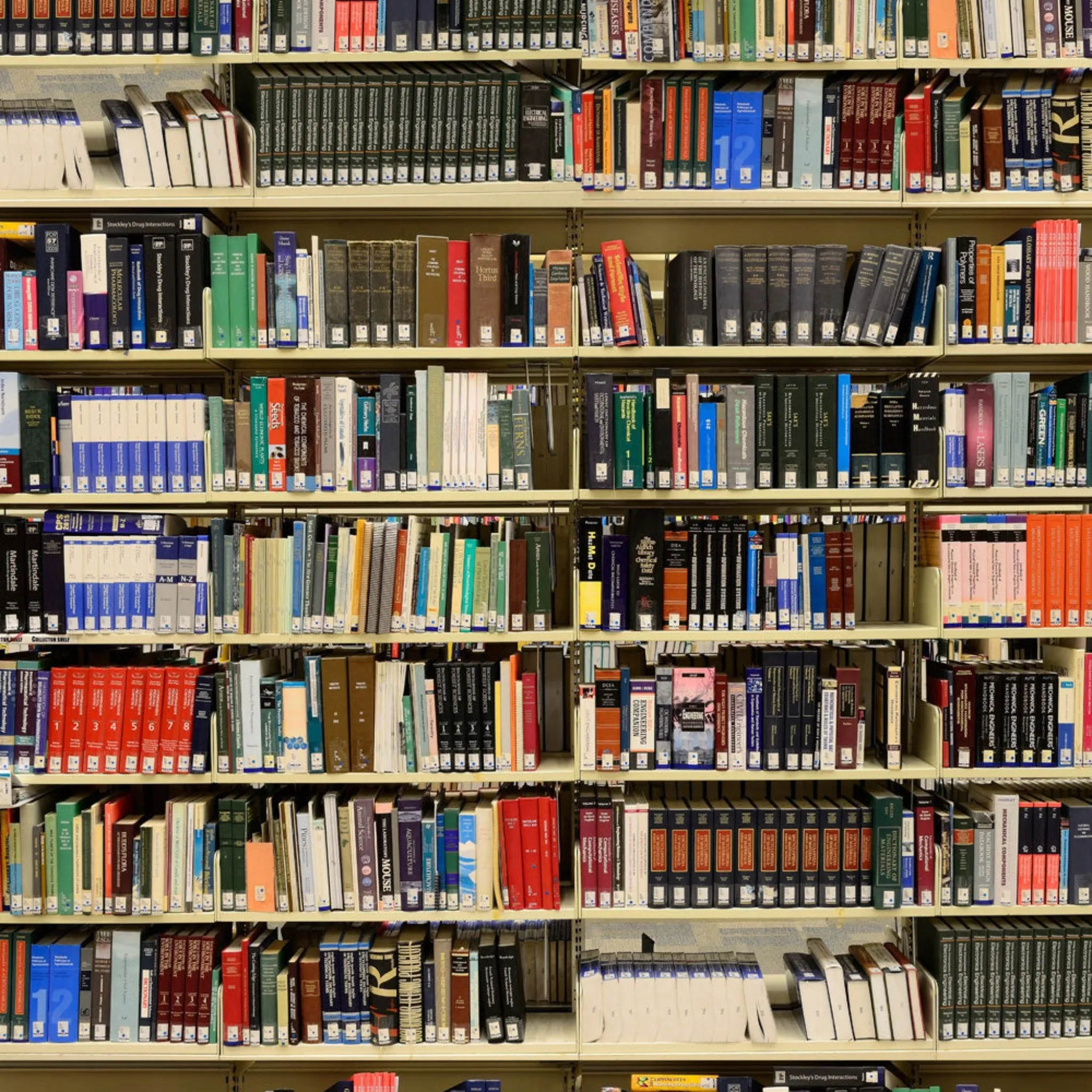 Library Shelves Belted A-Line Dress (No Waist Seam)